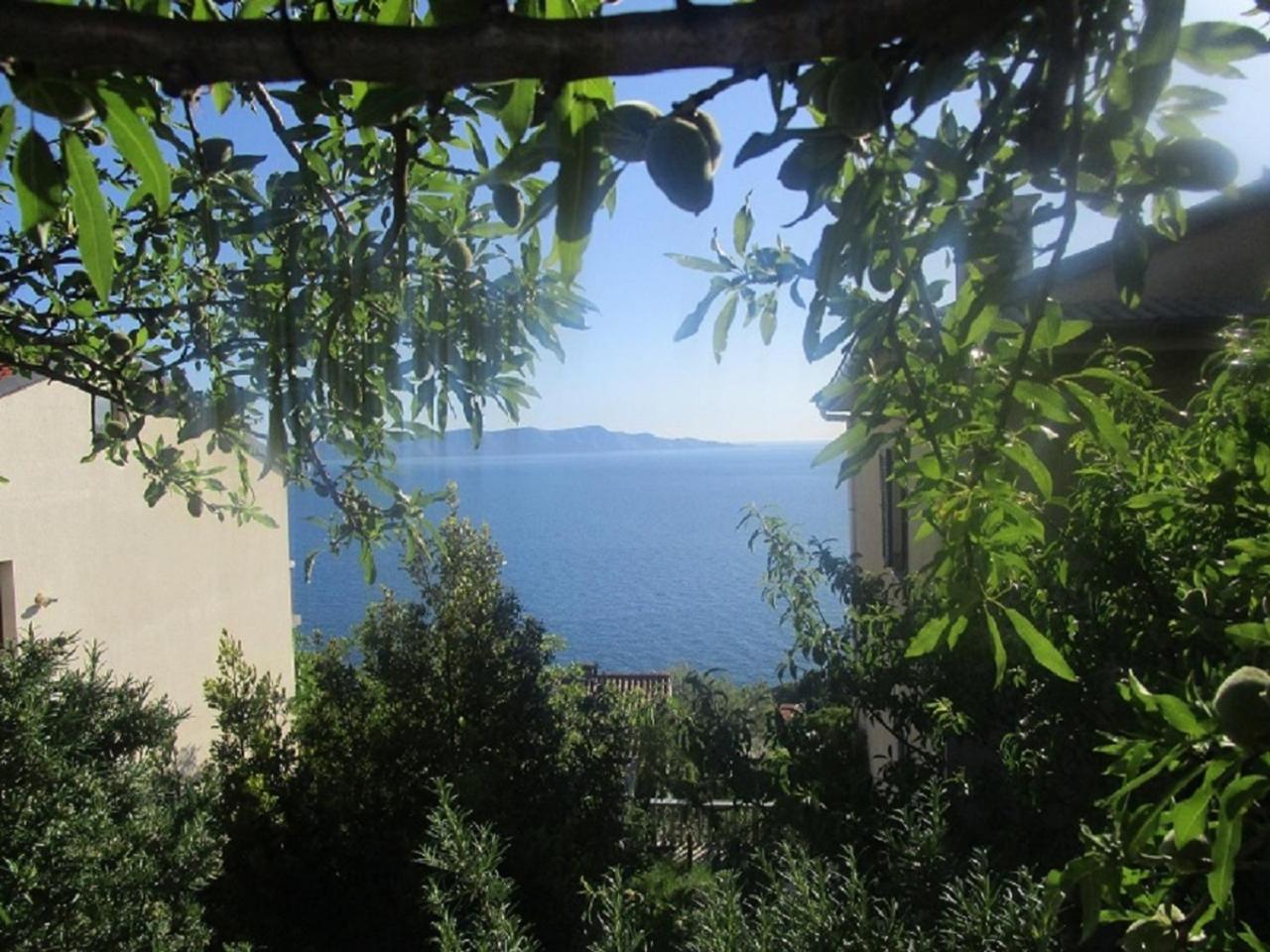 Vuk Apartman Senj  Rum bild